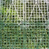Mur vegetal artificiel brise vue Prairie color 2 Mur vegetal artificiel brise vue Prairie color 2