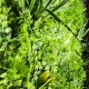 Mur vegetal artificiel brise vue Fougère dense