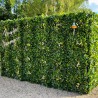 Mur vegetal artificiel brise vue Green3