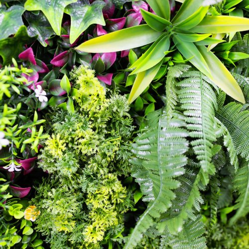 Mur vegetal artificiel brise vue Super Jungle1