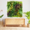 Life Mur vegetal artificiel prix/m² Couleur Vive et Mixte 9