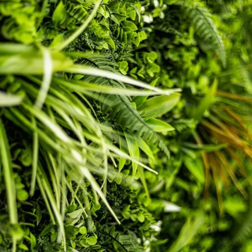 Détail feuillage Savane mur végétal artificiel déco murale sans entretien