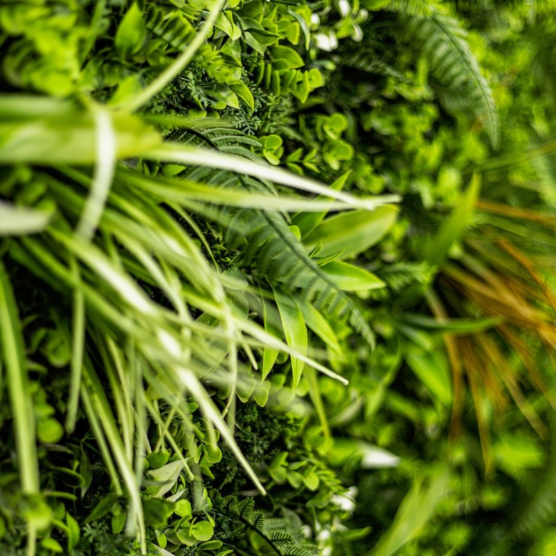 Mur vegetal artificiel brise vue Savane 5