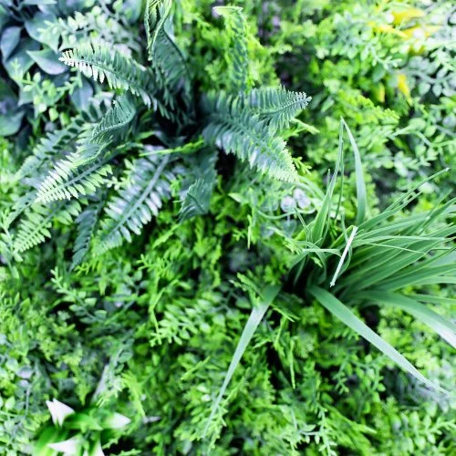 Gros plan Fougère-Dense panneau végétal artificiel dense