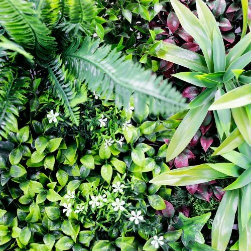 Gros plan Jungle mur végétal artificiel feuillage dense 1m²