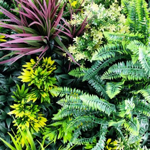 Détail du feuillage exotique, texture luxuriante du Tropic Mur