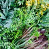 Life Mur vegetal artificiel prix/m² Couleur Vive et Mixte 6
