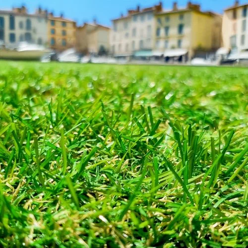 Gazon artificiel Mercury Fréjus 22mm, économique et court