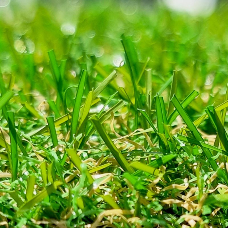 Gazon Synthétique et Pelouse Synthétique Mercury / Fréjus