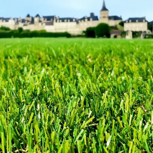 Gazon synthétique Bobby Aubagne 2025 35mm - Abordable et réaliste pour jardin