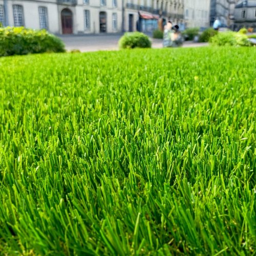 Gazon synthétique Ocean 45mm pour contour de piscine