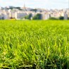 Gazon synthétique et Pelouse Synthétique Soleil / Marseille