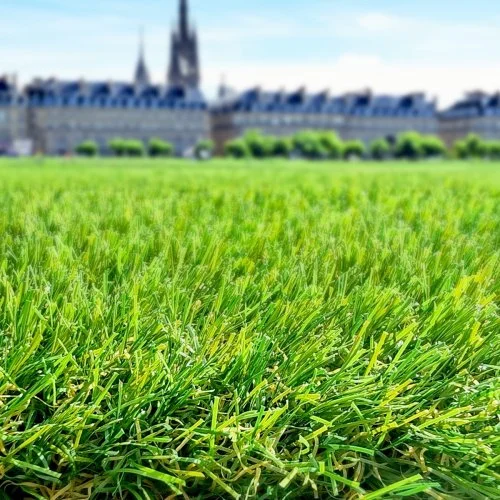 Gazon synthétique Caresse Bordeaux 40 mm, doux et dense