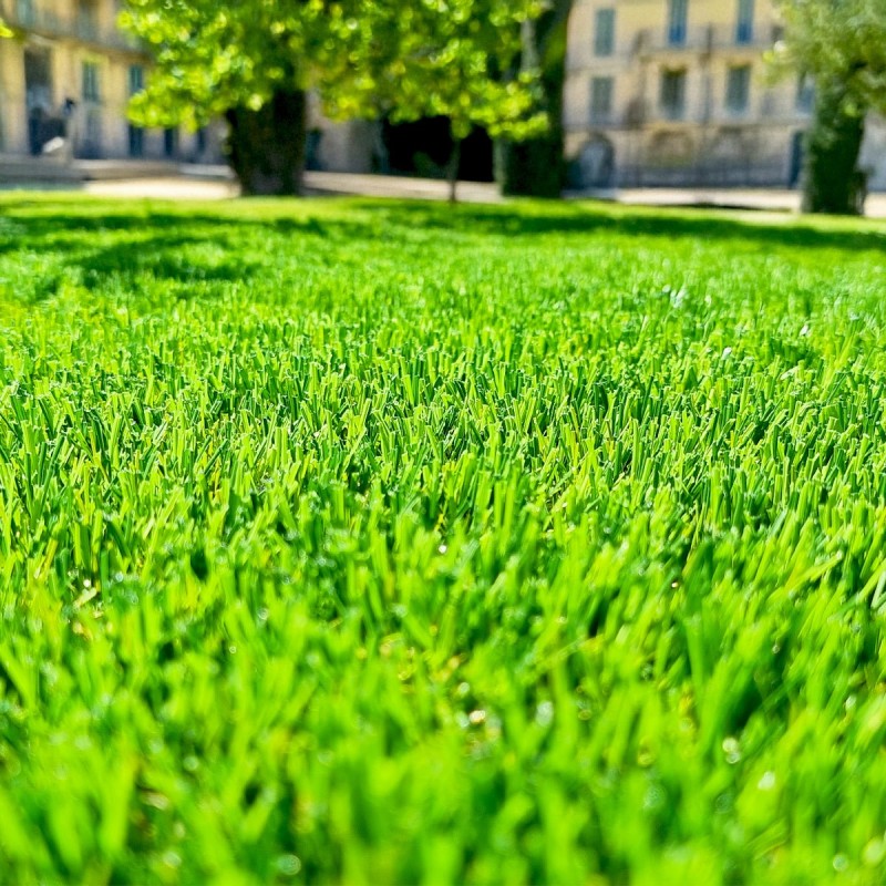 Pelouse artificielle Wondergrass - Idéal pour un balcon moderne