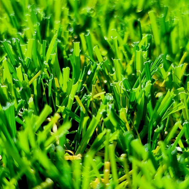 Wondergrass Gazon Synthétique de jardin pour passage intensif