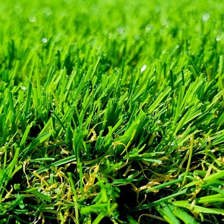 Gazon Synthétique et Pelouse wondergrass
