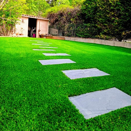 Gazon Synthétique et Pelouse wondergrass