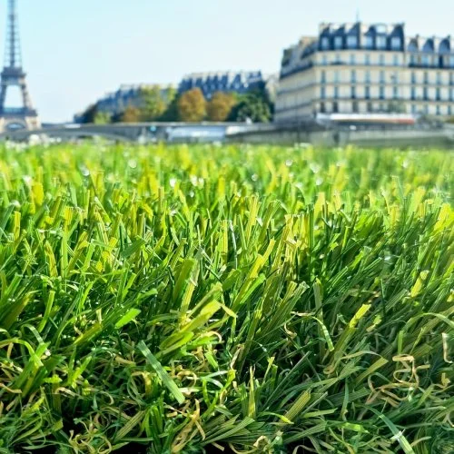 Gazon synthétique Adore / Paris, un gazon luxueux en 60mm