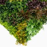 Life Mur vegetal artificiel plaque de 1mx1m