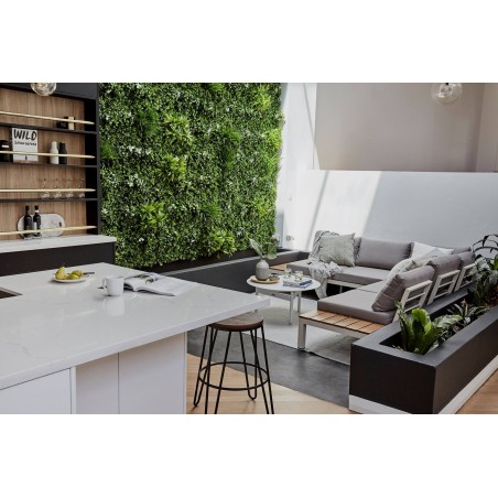 Mur Vegetal Artificiel Liseron MGS Plaque de 1Mx1M 6