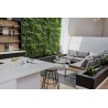 Mur Vegetal Artificiel Liseron MGS Plaque de 1Mx1M 6