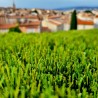 Gazon synthétique et Pelouse Synthétique City 42mm 2