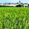 Gazon synthétique Bobby / Aubagne 35mm 2m4m 2