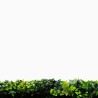 Feuillage artificiel Mur vegetal artificiel brise vue Lierre 9
