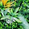 Mur vegetal artificiel brise vue Savane 6
