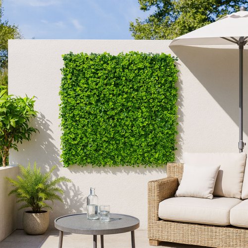 Lot 5 lierre dense, mur végétal occultant 1m x 1m, extérieur