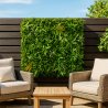 Mise en situation Savane mur végétal artificiel terrasse