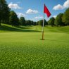 Gazon artificiel 15 mm durable pour putting green en 2 m
