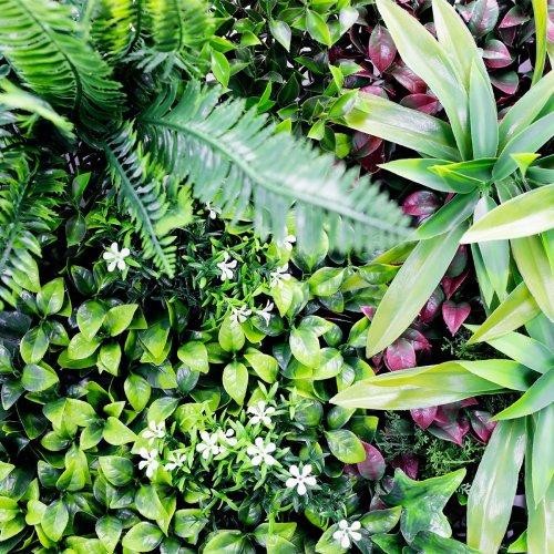 Gros plan Jungle mur végétal artificiel feuillage dense 1m²