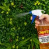 STOPFEU M1 traitement ignifugeant pour plantes et murs végétaux artificiels