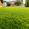 Gazon synthétique Net Rock 47mm - Dense et idéal pour un jardin accueillant
