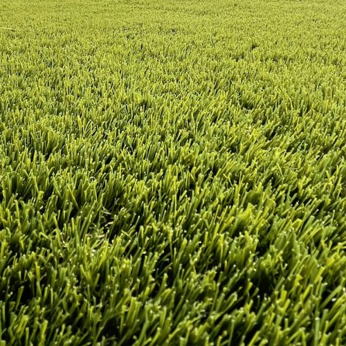 Pelouse artificielle Net Rock 47mm - Convient parfaitement sur terrasse