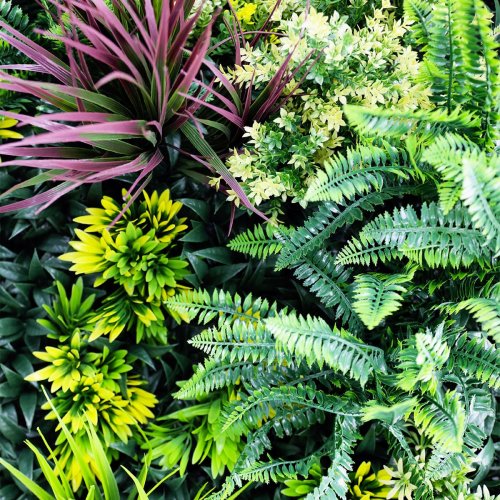 Détail du feuillage exotique, texture luxuriante du Tropic Mur