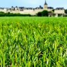 Pelouse synthétique 35 mm Bobby Aubagne en pack 100 m² pour grande surface