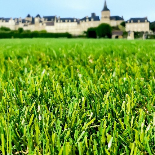 Pelouse synthétique 35 mm Bobby Aubagne en pack 100 m² pour grande surface