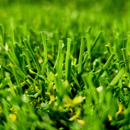 Promo Fin de lot Pelouse Synthétique 52mm – Impression Lille 20m²