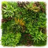 Mur vegetal artificiel brise vue Wood Colors