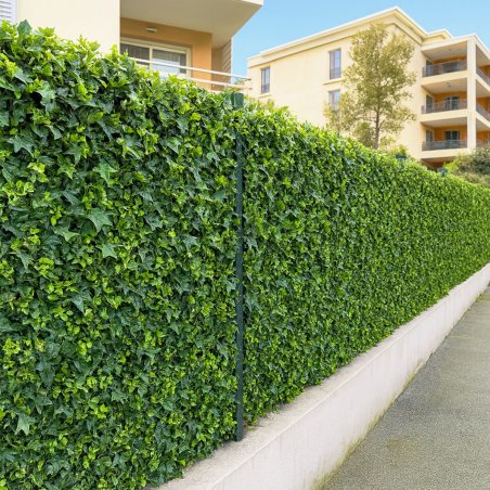 Haie murale lierre artificiel brise vue dense occultant 1m x 1m