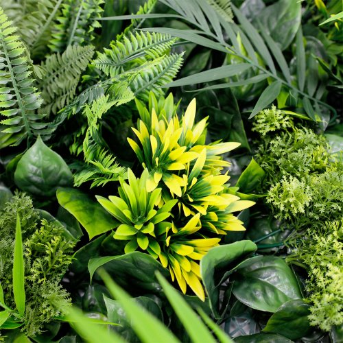 Gros plan Exotik panneau végétal artificiel feuillage dense