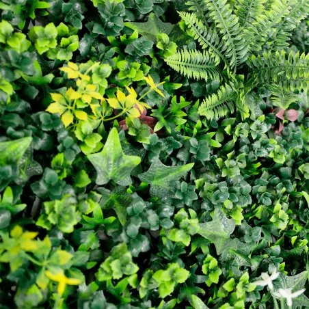 Détail du feuillage Vegetal Chic : feuilles de lierre, fougères et nuances de vert