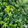 mur vegetal synthetique vegetalchic decoration