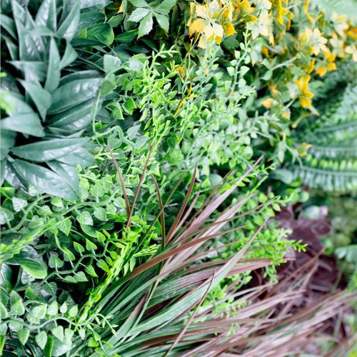 Détail du feuillage dense, texture réaliste du mur végétal Life MGS