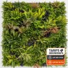 Mur vegetal artificel réel 1m2