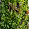 Mur végétal artificiel Réel ERP 1M x 1M