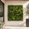 Mur végétal artificiel Réel ERP 1M x 1M