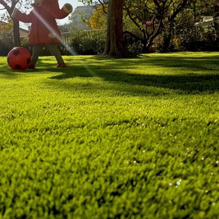Pack Caresse 40 mm pour jardin familial